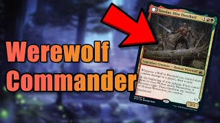 We FINALLY Have An Amazing Werewolf Commander  Tovolar Dire Overlord  MTG Shorts [upl. by Brade]