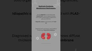 Nephrotic syndrome Membranous Nephropathy [upl. by Algie]