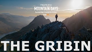 The Gribin Ridge  A perfect first Grade 1 Scramble in Eryri Snowdonia  Walk  Scramble  Fly [upl. by Tunk]