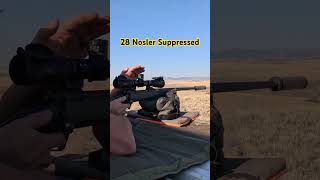 28 Nosler Suppressed [upl. by Auqenaj]