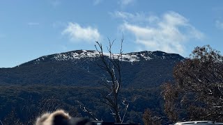 A day trip to Mount Buller from Melbourne [upl. by Graff699]