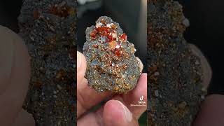 Blood red wulfenite on matrix mineral minerals gemstone mineralogy [upl. by Norvin]