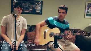 Team  Lorde Cover by Austin Christopher [upl. by Garretson]