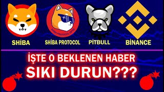 Pitbull Coin Shiba Coin Shiba Protocol Ve Binance Sıkı Durun [upl. by Eet]