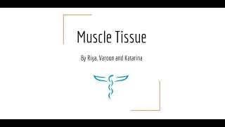 ISU 4 Muscle tissue [upl. by Lagiba140]