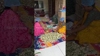 Mango Pickle Making Process In Factory shorts making factoryindie [upl. by Sirk859]