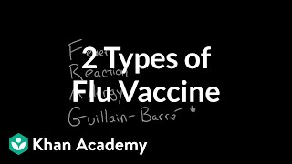 2 Types of Flu Vaccine [upl. by Tiemroth]