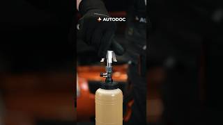 How to change the brake fluid  AUTODOC shorts [upl. by Grider]