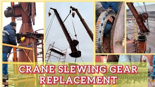 Provision Crane Slewing Gear ‖ How to replace Crane Slewing Gear and Load Test [upl. by Venus565]