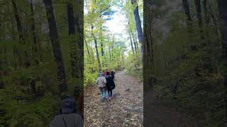 Scenic Hiking Trail hiking nature adventure travel naturelovers ytshort [upl. by Ecyob]