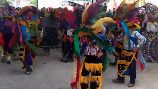 DANZA LOS NEGRITOS DE FILOMENO MATA VER quotMEXTITLANquot [upl. by Stephannie404]