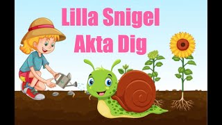 Lilla Snigel Akta Dig  Populära Barnsånger på svenska  Barnlåtar på svenska  Vaggvisa  Barnvisa [upl. by Nalyorf237]