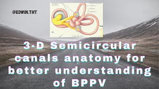 3D Semicircular canals anatomy for better understanding of BPPVs pathophysiology [upl. by Ahseenyt]