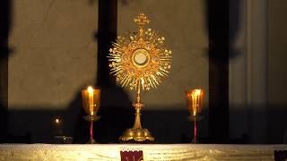 LIVE from Bread of Life Eucharistic Adoration [upl. by Alasdair48]