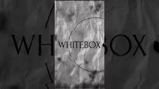 WHITEBOX  Blackout Short [upl. by Amer]