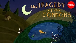 What is the tragedy of the commons  Nicholas Amendolare [upl. by Galatia854]