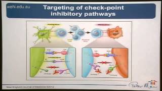 Haynes N 2014 Cancer microenvironment and immunity  lessons for immunotherapy [upl. by Merth770]