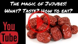 Whats a jujube What does it taste like How should I eat it Discovery 2 Jujube [upl. by Sanoj749]