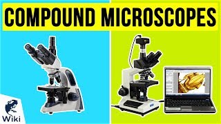 10 Best Compound Microscopes 2020 [upl. by Shum710]