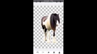 How to cut out photos on iPhone iPad and Android using You Doodle [upl. by Drofdarb]