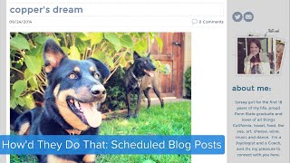 Howd They Do That Scheduled Blog Posts [upl. by Dorris]