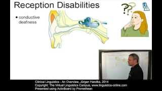 APL111  Clinical Linguistics  An Overview [upl. by Bern]