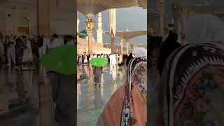 Eya rabbel Alamein shorstvideo islamicvideo vairallvideo [upl. by Rossner]