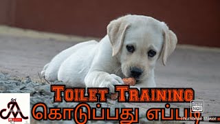 Toilet training for dogs  tamil  jayam ideas  jayam pets  minpin puppy for sale [upl. by Tran]