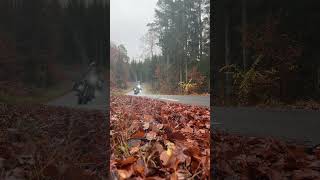 Zweden Sweden TET Trans European Trail BMW R125GSA Fall Authumn [upl. by Cory623]