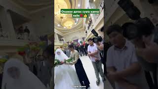 ТУЙДА КИЁВ ОНАСИГА ГУЛ БЕРМОКЧИ ЭДИ cover music свадьба musica тикток wedding тренд [upl. by Anamor625]