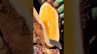 fruit naturallifeb satisfying naturalclips naturelife fruitcutting food nature plants [upl. by Rekyr]