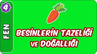 Besinlerin Tazeliği ve Doğallığı  4 Sınıf Fen evokul Kampı [upl. by Fisher754]