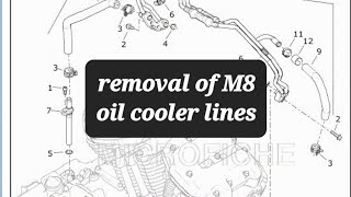 Harley M8 removal of oil cooler lines so you can get to rocker box covers [upl. by Eiznyl]