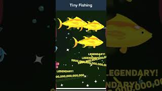 Former tiny fishing world record [upl. by Adabel]