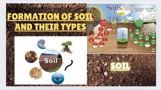 Formation Of Soil  Types Of Soil  Shorts overview [upl. by Anjali]