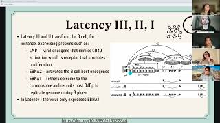 Epstein Barr Virus 102 [upl. by Bigot]