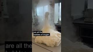 Elephants Toothpaste Experiment [upl. by Nosreg]