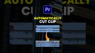 Premiere Pro Scene Edit Detection  Automatically Cut Clip in Premiere pro  premierepro tutorial [upl. by Gimpel505]