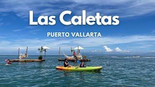 Las Caletas Puerto Vallarta Is It Worth It [upl. by Colfin767]