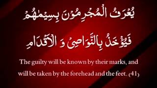 Surah 55 ArRahman  Imam Faisal ArabicEnglish Translations [upl. by Armando326]