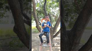 Chiku ke pass patakhe nahi bache tabhi 😱😍 shorts ytshorts viralvideos diwali [upl. by Persian118]