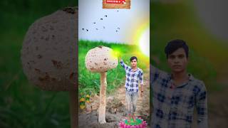 Creative videography 🏖📸👈 funny episode14 photography photo shorts trending videoediting [upl. by Annatnom]