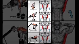 fitness tips ll beck workout ll fitness gym workout viral ytshort shorts short ytshorts [upl. by Nylave455]