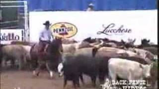 2005 NCHA World Champion Open [upl. by Nashbar]