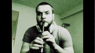 Tin Whistle  quotConcerning Hobbitsquot Lord of the Rings soundtrack [upl. by Enida]