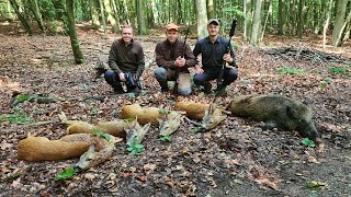 Sauen amp Bockjagd im Urwald von Meckpomm  Hunt on Demand Free Episode  Jagdkrone [upl. by Yurik]