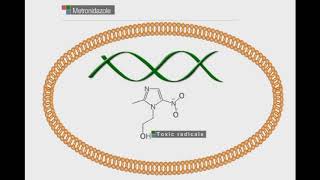 Metronidazole animation video [upl. by Liagiba]