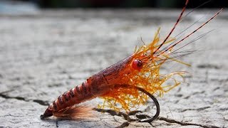 Martin Shrimp  simple and realistic fly tying instructions by Ruben Martin Orange version [upl. by Mandie]