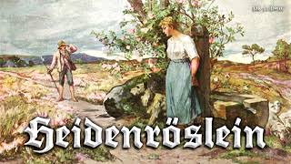 Heidenröslein German folk songinstrumental [upl. by Reltuc]