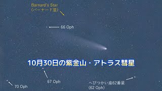 10月30日の紫金山・アトラス彗星 [upl. by Crandale552]